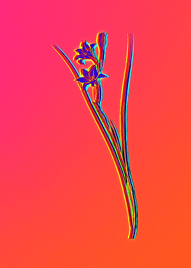 Neon Floral Illustration