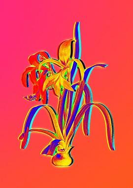 Red Botanical Illustration