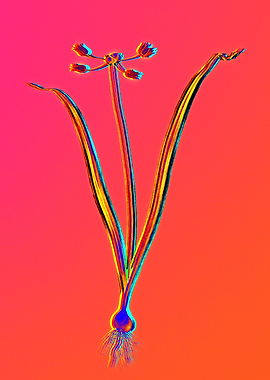 Neon Flower Illustration