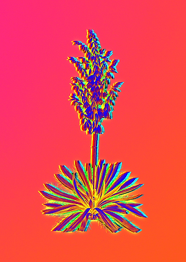 Neon Flowers Illustration