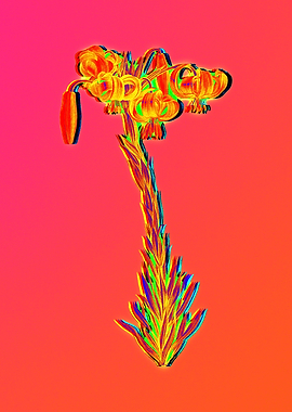 Neon Flora Illustration