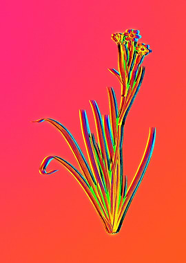 Neon Botanical Drawing