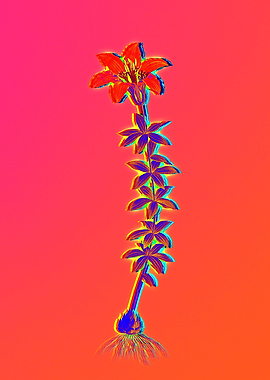 Neon Flowers Illustration