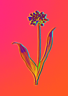 Neon Floral Illustration