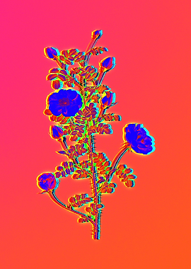 Pink Neon Pop Art Flower