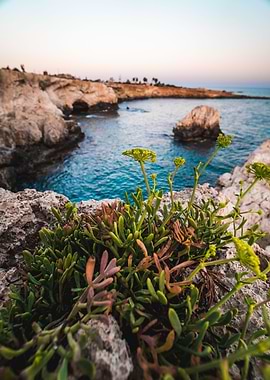 Waters of Ayia Napa
