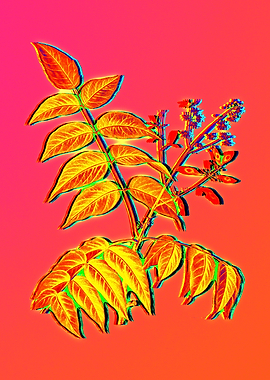 Neon Floral Illustration