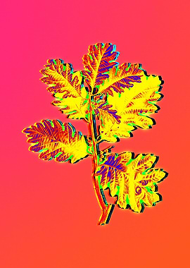 Neon Fabulous Flowers