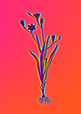 Neon Florals Illustration