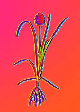 Neon Flora Illustration
