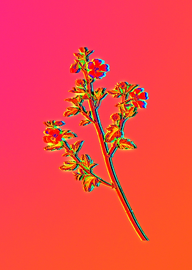Neon Floral Illustration