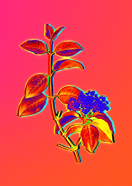 Neon Flower Illustration