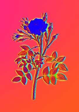 Neon Electric Blue Flower