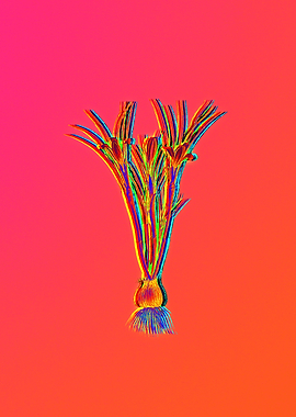 Pink Neon Flower Drawing