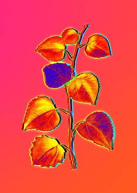 Blue Flowers Yellow Flower