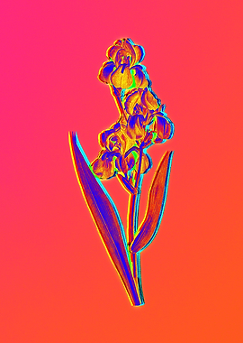 Neon Pink Botanicals