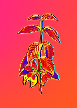 Neon Flower Drawing