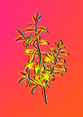 Neon Botanical Drawing