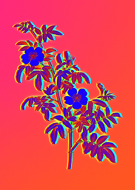 Neon Botanical Drawing