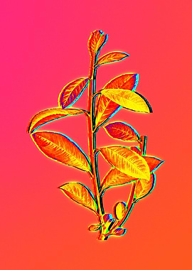 Neon Fabulous Flowers