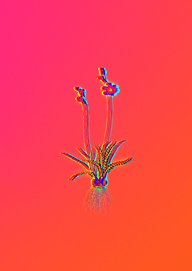 Neon Florals Illustration