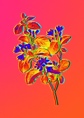 Bright Pink Neon Botanical