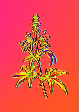 Neon Botanical Flower
