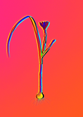 Pink Neon Flower Drawing