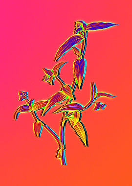 Neon Flower Illustration
