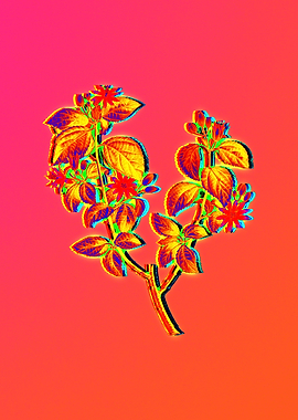 Neon Flower Drawing