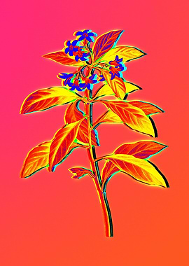 Neon Flower Illustration