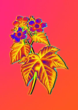 Blue Flowers Yellow Flower