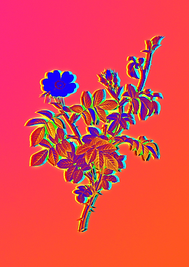 Neon Electric Blue Florals