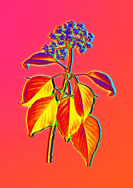 Bright Pink Neon Botanical