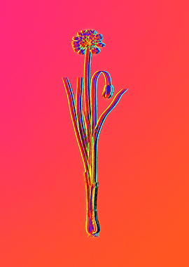 Neon Botanical Drawing