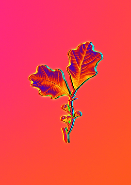 Neon Flower Illustration