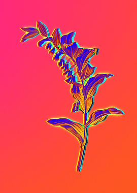 Neon Solomons Seal on Pink