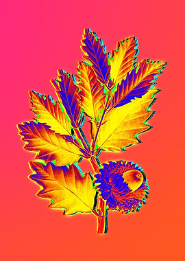Neon Floral Illustration