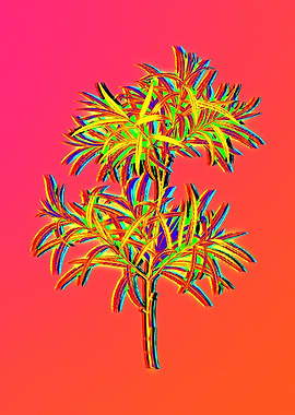 Neon Flower Illustration