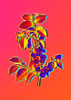 Blue Flower Yellow Flower