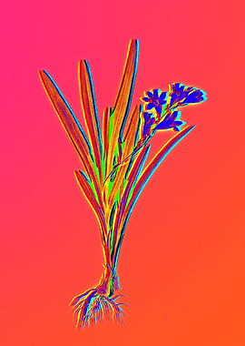 Neon Floral Illustration