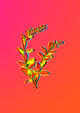 Neon Floral Illustration