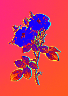 Neon Electric Blue Floral