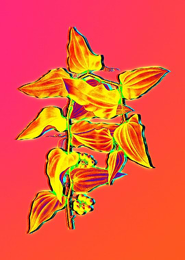Neon Flower Drawing