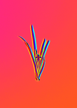 Neon Flower Illustration
