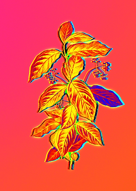 Neon Floral Illustration