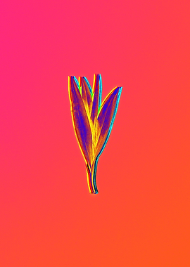 Neon Floral Illustration