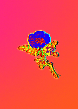Neon Floral Illustration