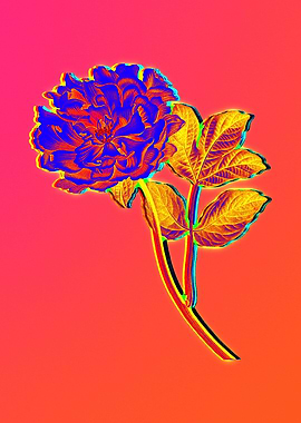 Neon Floral Illustration