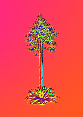 Fiery Neon Pink Botanicals